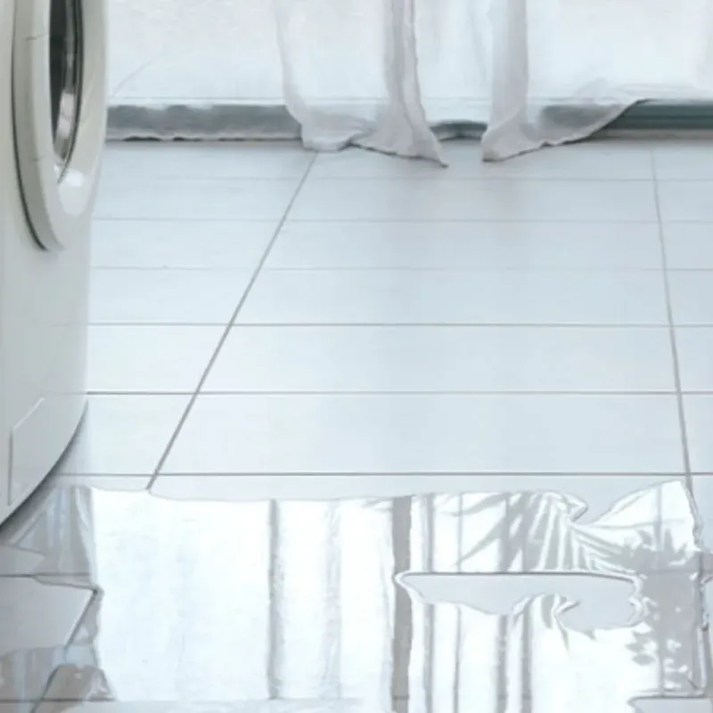 Appliance Leak Cleanup in Perry, MI