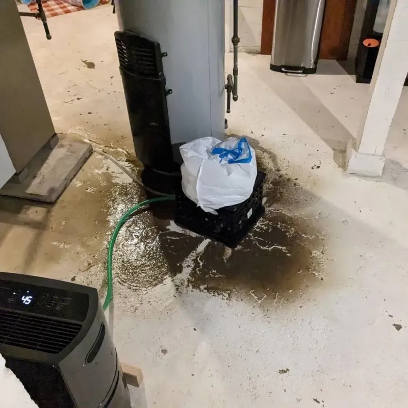 Sewage Backup Cleanup Service in Perry, MI